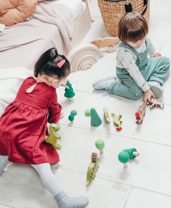 Born to Socialize: A Development & Play